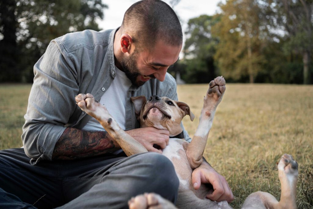 ¿Cómo educar a tu perro sin castigos? La guía definitiva de refuerzo positivo